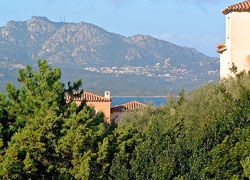 trilocale in affitto a Porto Rotondo